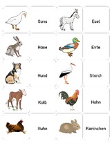 Memo-Spiel Haustiere 1.pdf